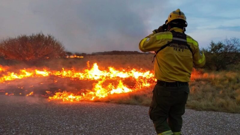 REALIZAN TALLERES TERRITORIALES PARA LA PREVENCIÓN DE INCENDIOS FORESTALES