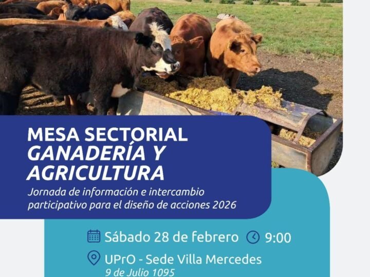 EL GOBIERNO DE SAN LUIS CONVOCA A LA MESA SECTORIAL DE GANADERÍA Y AGRICULTURA