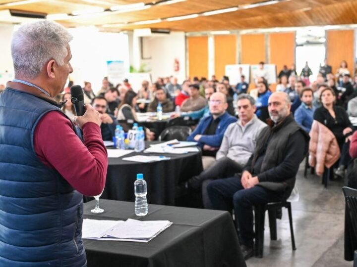 LA MESA SECTORIAL APÍCOLA DEBATIRÁ EL 21 DE MARZO EN CASA DE GOBIERNO