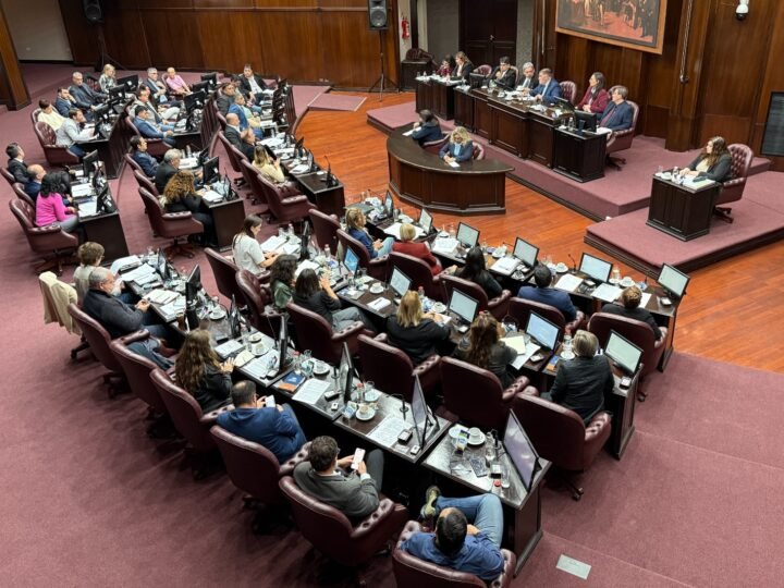 DIPUTADOS DIO MEDIA SANCIÓN A LA MODIFICACIÓN DE LA LEY DE AMPARO