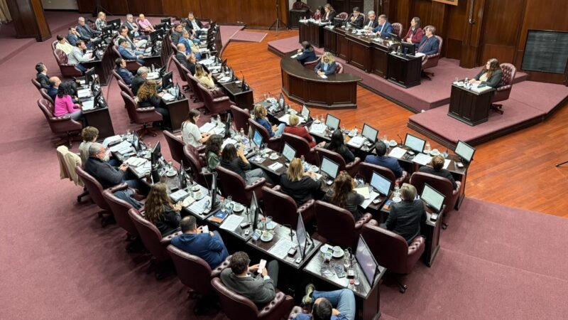 DIPUTADOS DIO MEDIA SANCIÓN A LA MODIFICACIÓN DE LA LEY DE AMPARO