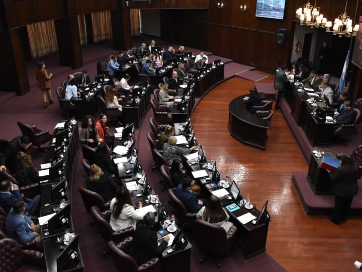 LAS POLÍTICAS EDUCATIVAS EN SAN LUIS AVANZAN CON EL CONSENSO UNÁNIME DE LA CÁMARA DE DIPUTADOS