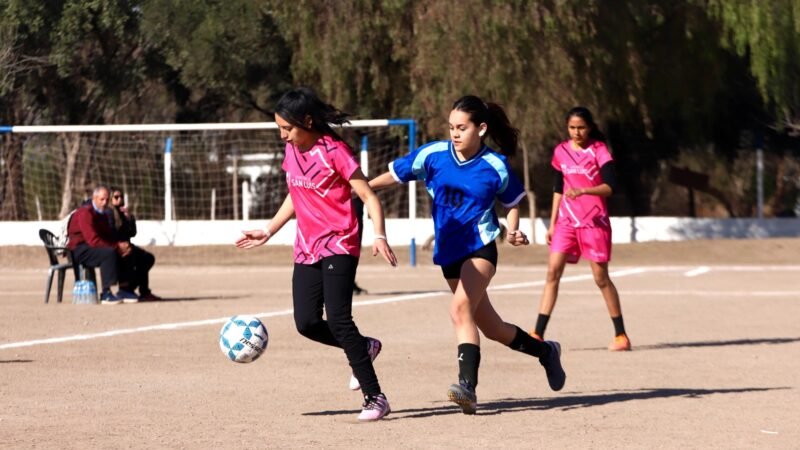 LOS JUEGOS INTERCOLEGIALES DEPORTIVOS LATEN CON FUERZA EN EL INTERIOR DE SAN LUIS