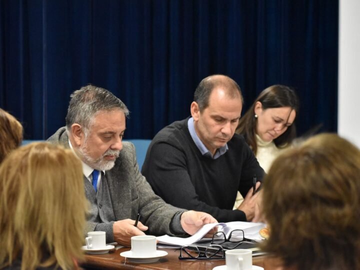 PROYECTO DE REFORMA PARCIAL DE LA CONSTITUCIÓN: CONTINÚA EL ANÁLISIS CON EJE EN LA JUSTICIA