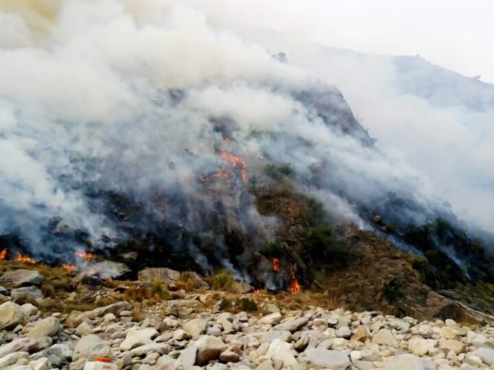 COMBATEN UN INCENDIO FORESTAL EN ESTANCIA GRANDE: INVESTIGAN SI FUE INTENCIONAL