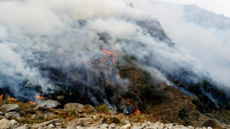 COMBATEN UN INCENDIO FORESTAL EN ESTANCIA GRANDE: INVESTIGAN SI FUE INTENCIONAL