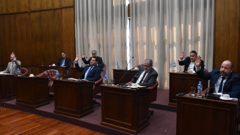 EL SENADO DIO MEDIA SANCIÓN AL RÉGIMEN INTEGRAL DE PROMOCIÓN DEL DESARROLLO ECONÓMICO Y DEL EMPLEO