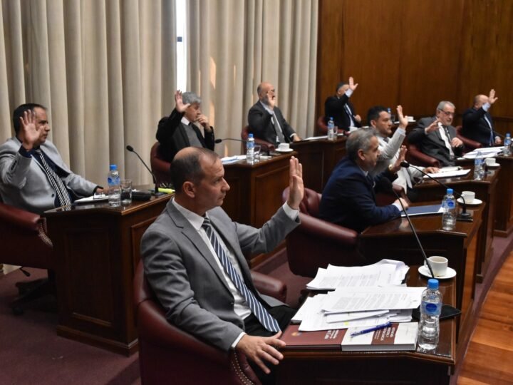 EL SENADO DIO SANCIÓN DEFINITIVA AL RÉGIMEN DE CONSORCIOS CAMINEROS