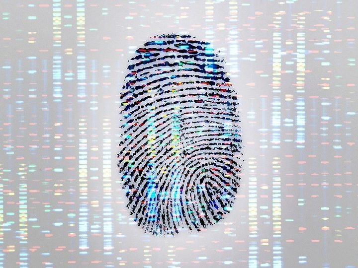 HUELLAS GENÉTICAS DIGITALIZADAS: LOS PUNTOS CLAVES DEL REGISTRO PROVINCIAL