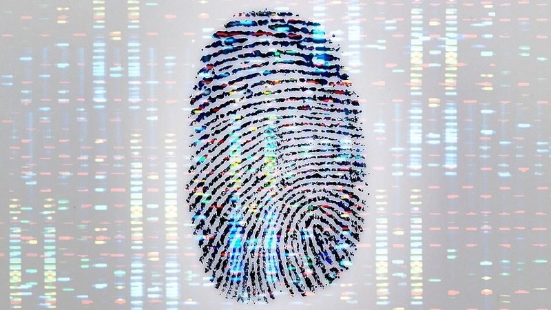 HUELLAS GENÉTICAS DIGITALIZADAS: LOS PUNTOS CLAVES DEL REGISTRO PROVINCIAL